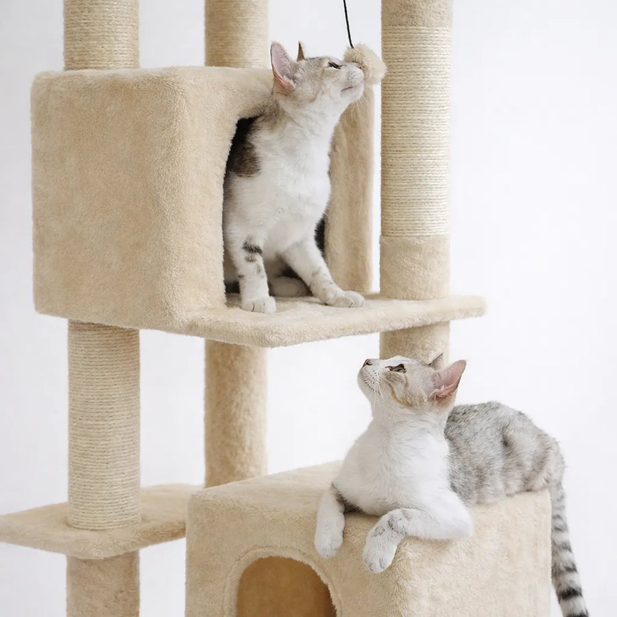 Arbre à chat 130 cm | 2 Condos et Griffoirs en Sisal