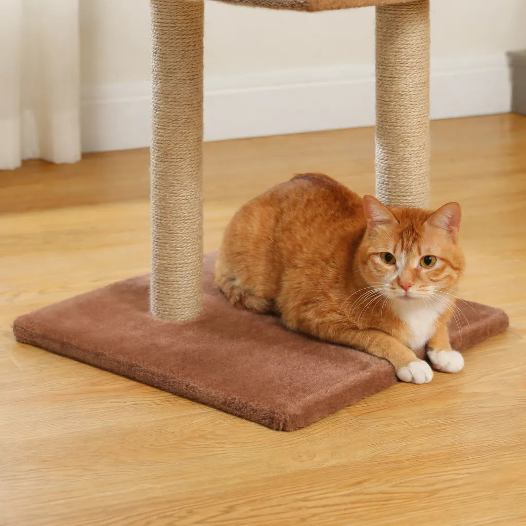 Arbre a chat 3 plateformes - Griffoir sisal et confort
