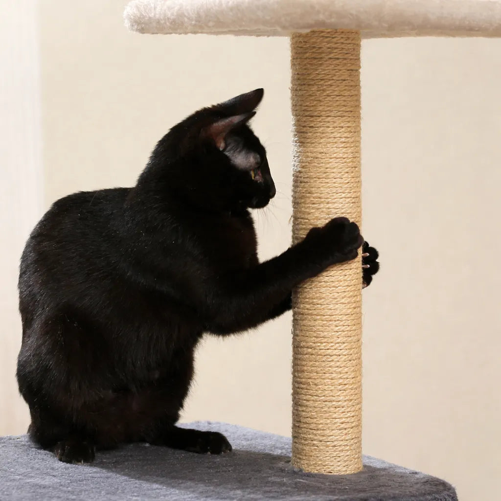 Arbre a chat 3 plateformes - Griffoir sisal et confort