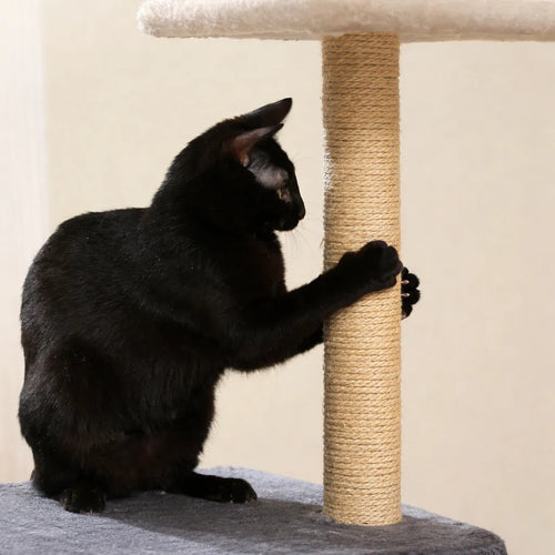 Arbre a chat 3 plateformes - Griffoir sisal et confort