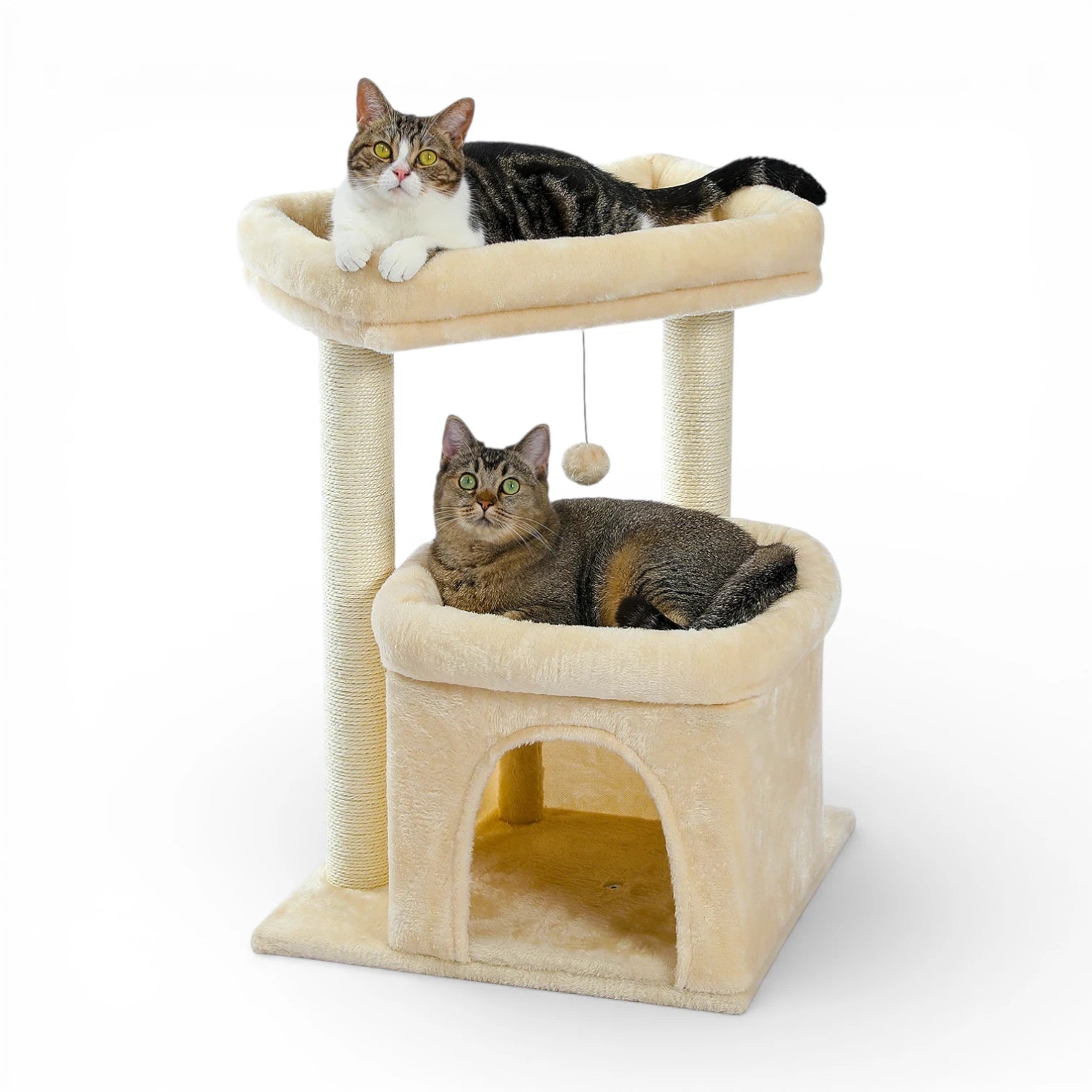 Arbre a chat avec cabane - Confort, griffoir et stabilité