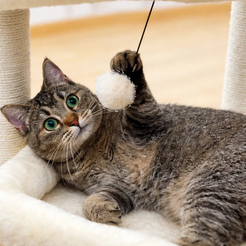 Arbre a chat avec cabane - Confort, griffoir et stabilité