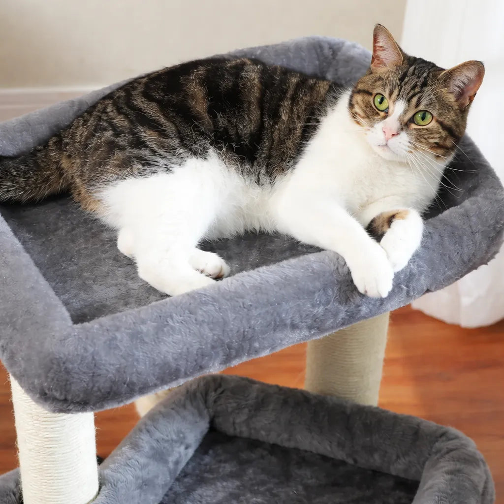 Arbre a chat avec cabane - Confort, griffoir et stabilité