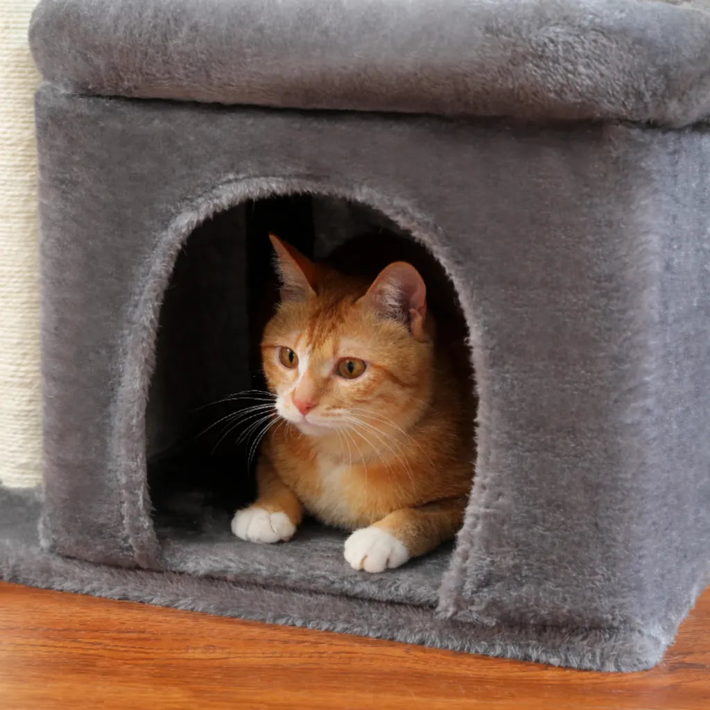 Arbre a chat avec cabane - Confort, griffoir et stabilité