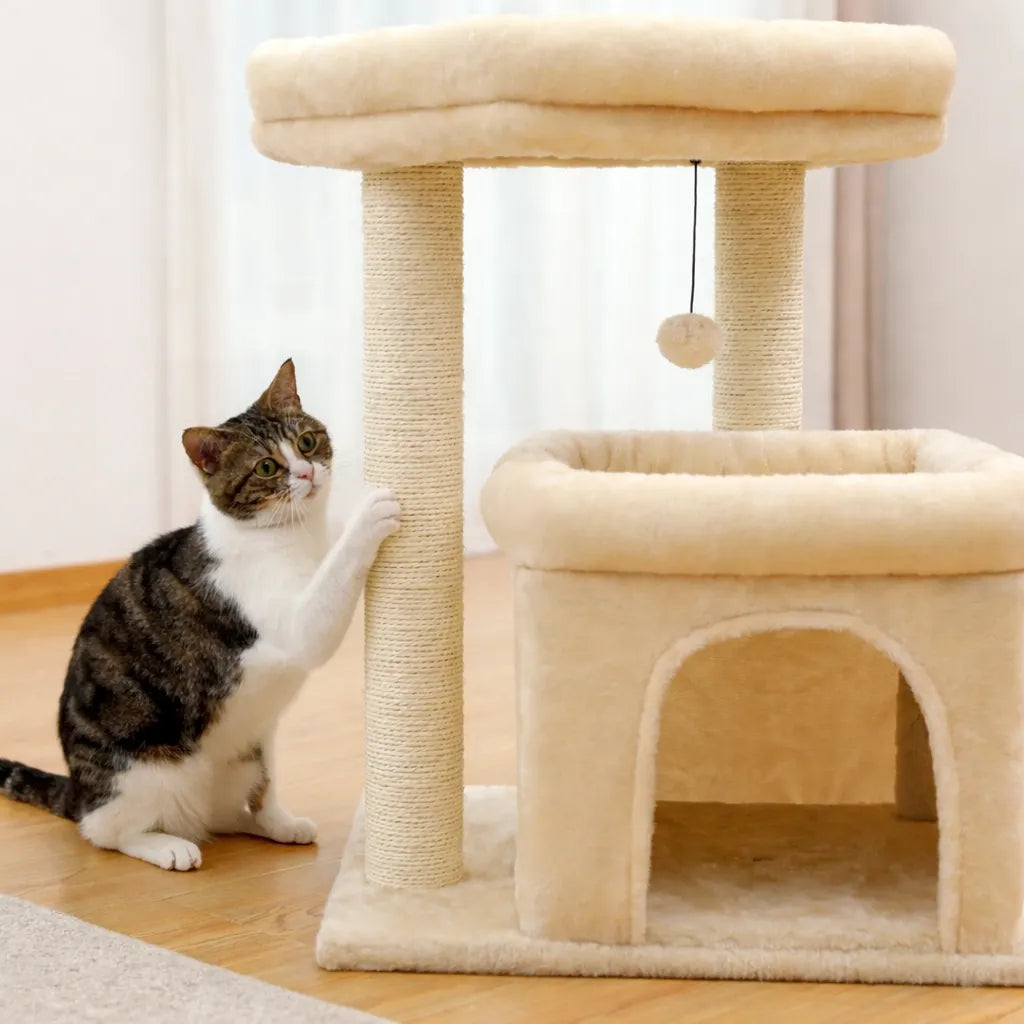Arbre a chat avec cabane - Confort, griffoir et stabilité