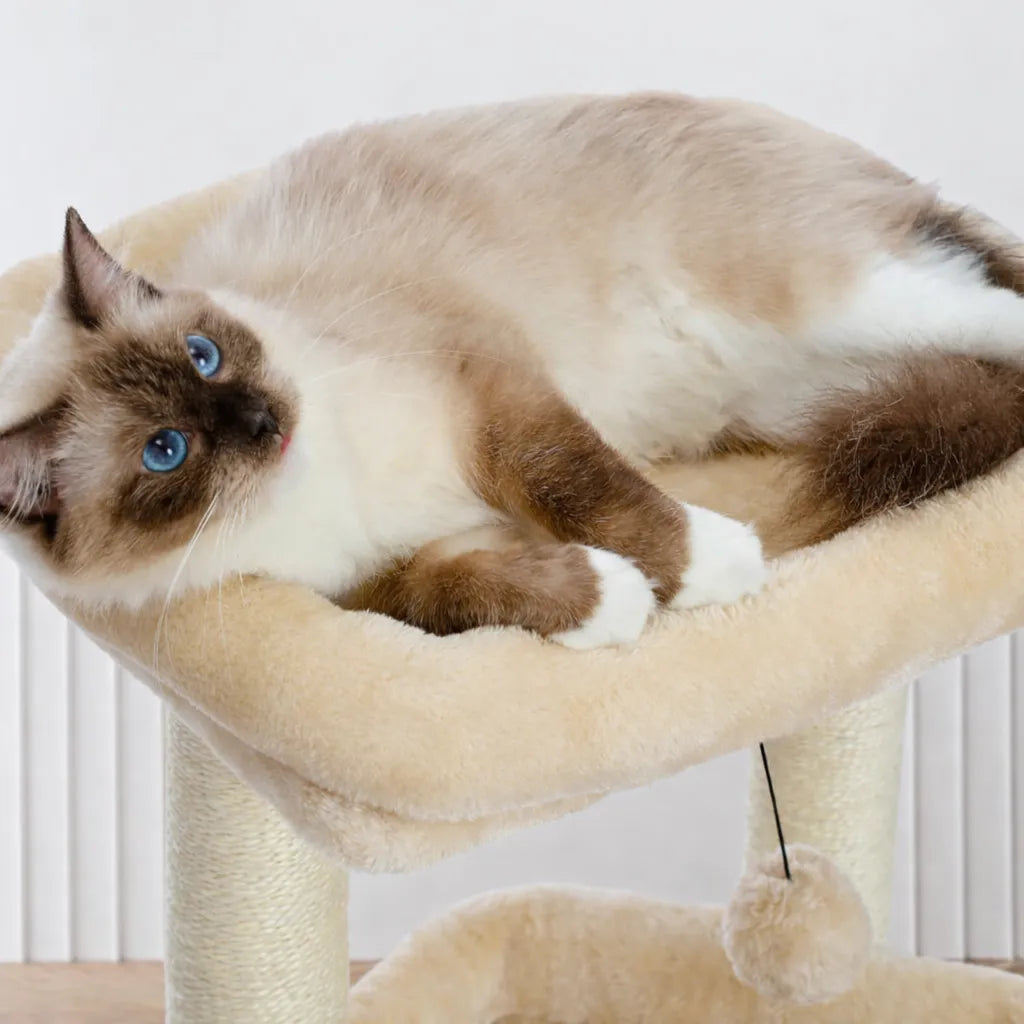 Arbre a chat avec cabane - Confort, griffoir et stabilité
