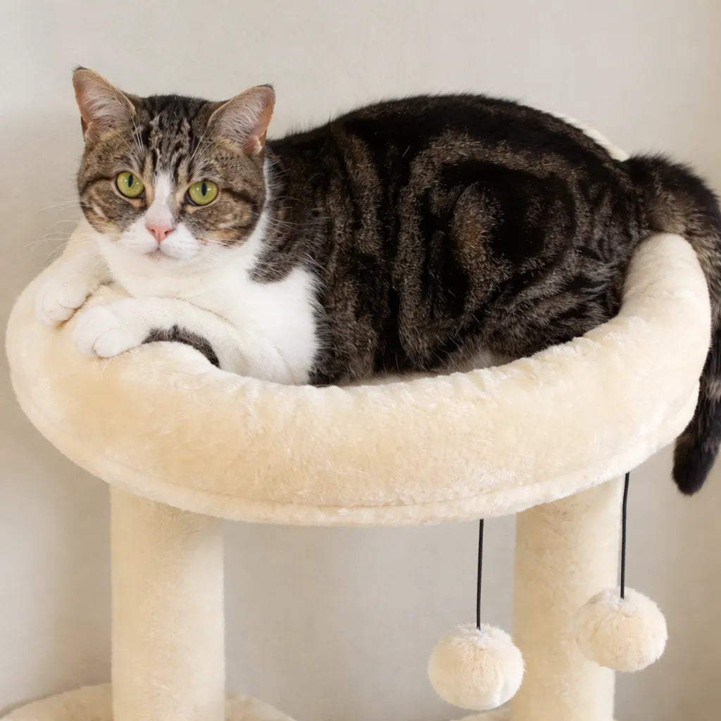 Arbre a chat avec hamac - Griffoir sisal hamac et condo inclus