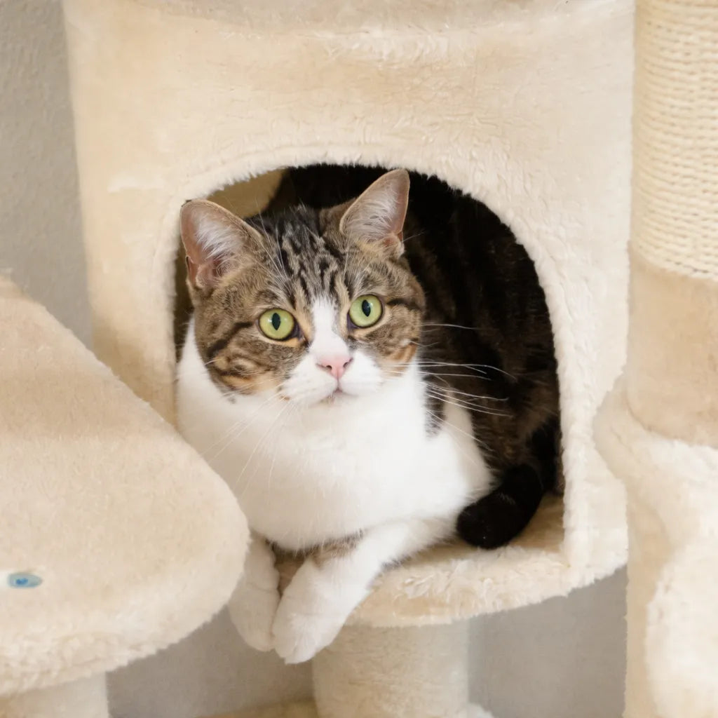 Arbre a chat avec hamac - Griffoir sisal hamac et condo inclus