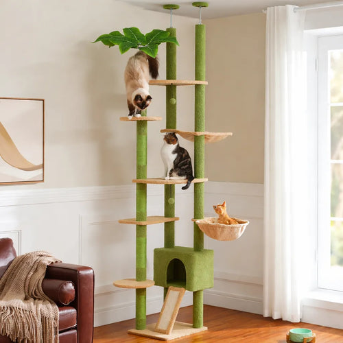 Arbre a chat du sol au plafond - Hamac et Griffoir Inclus