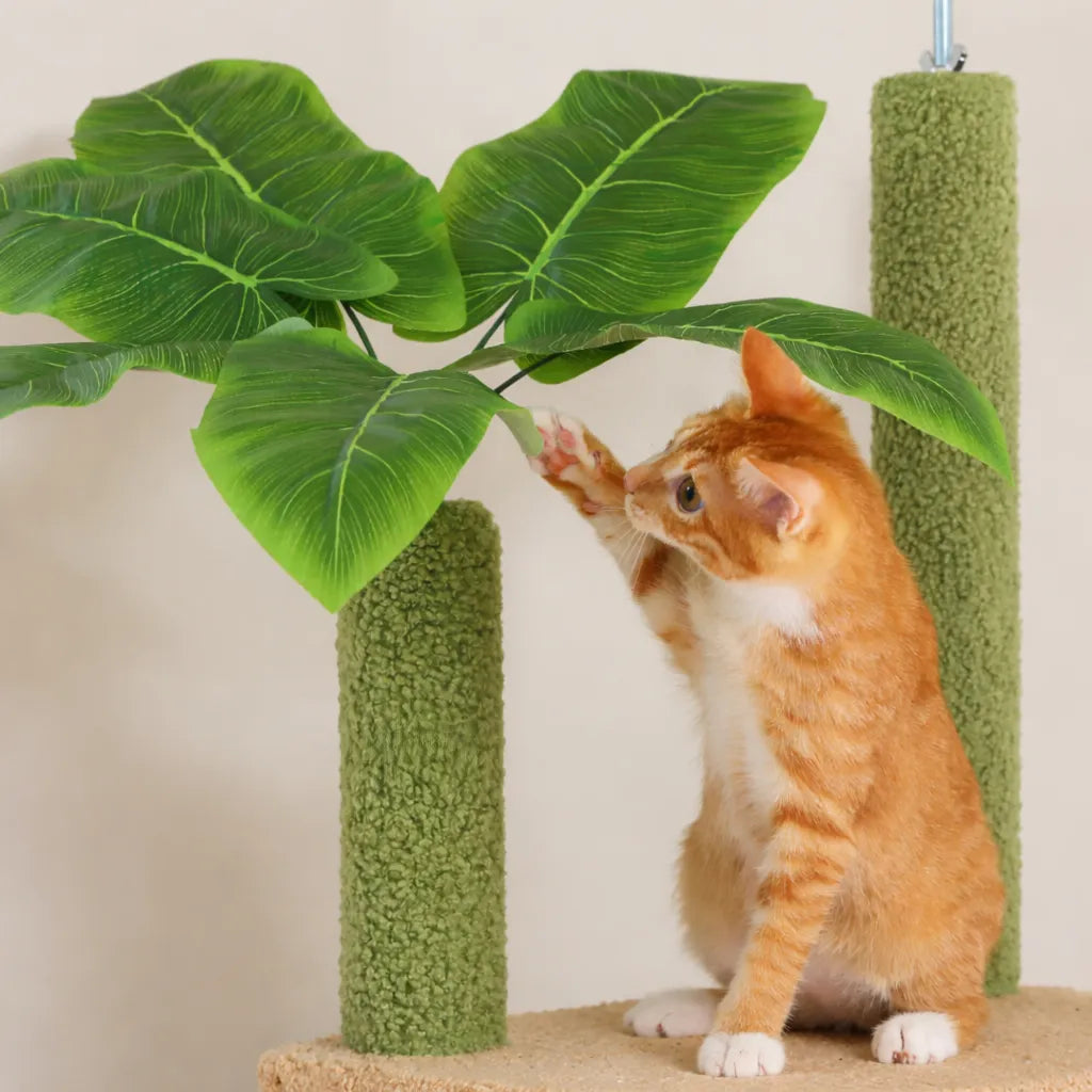 Arbre a chat du sol au plafond - Hamac et Griffoir Inclus