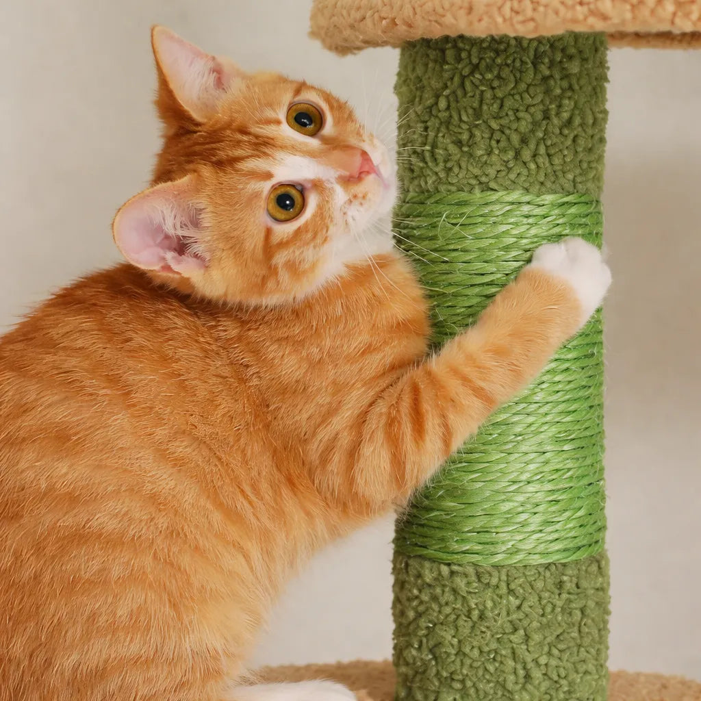Arbre a chat du sol au plafond - Hamac et Griffoir Inclus