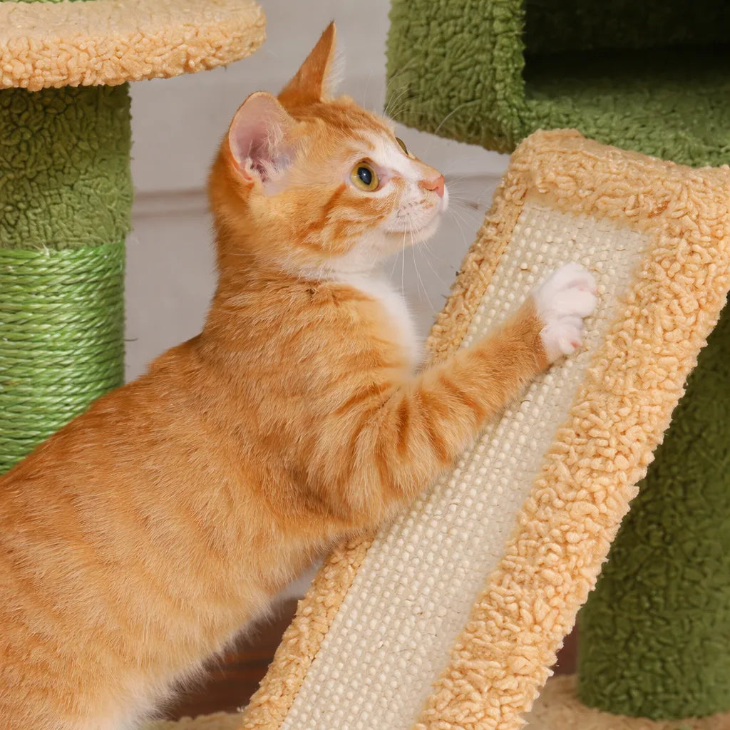 Arbre a chat du sol au plafond - Hamac et Griffoir Inclus
