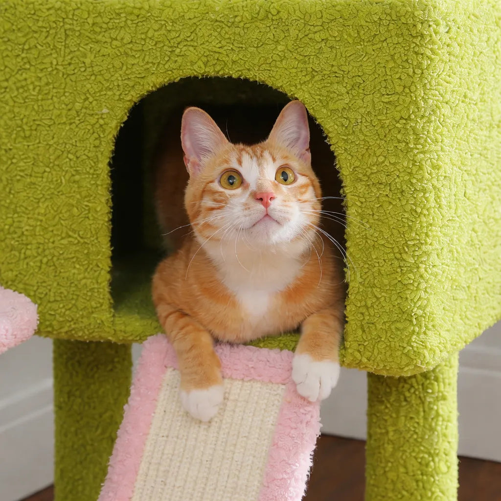 Arbre a chat du sol au plafond - Hamac et Griffoir Inclus