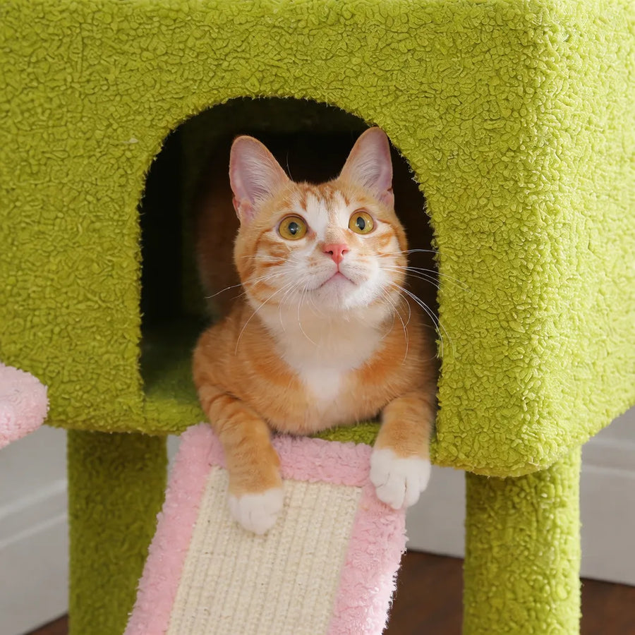 Arbre a chat du sol au plafond - Hamac et Griffoir Inclus