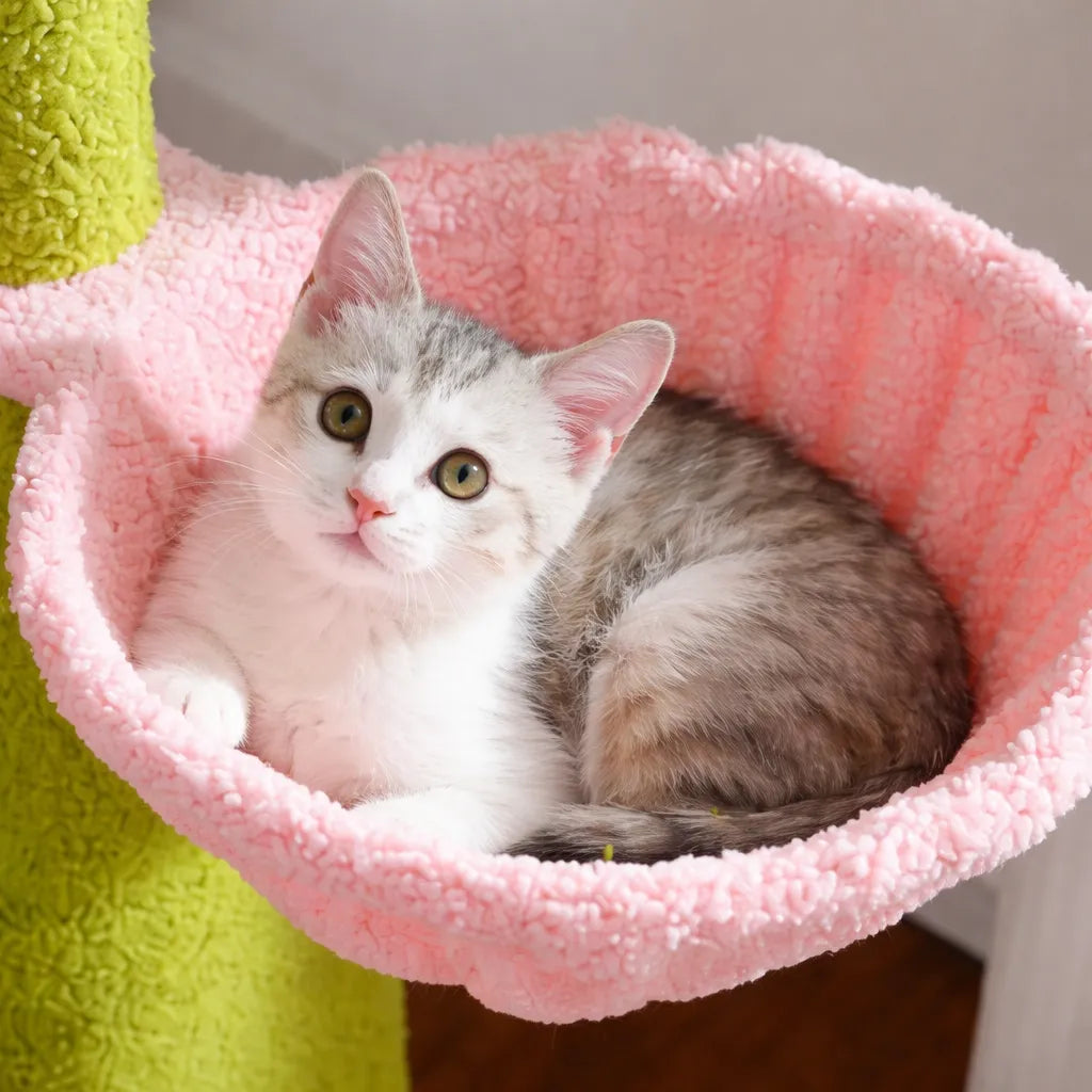 Arbre a chat du sol au plafond - Hamac et Griffoir Inclus