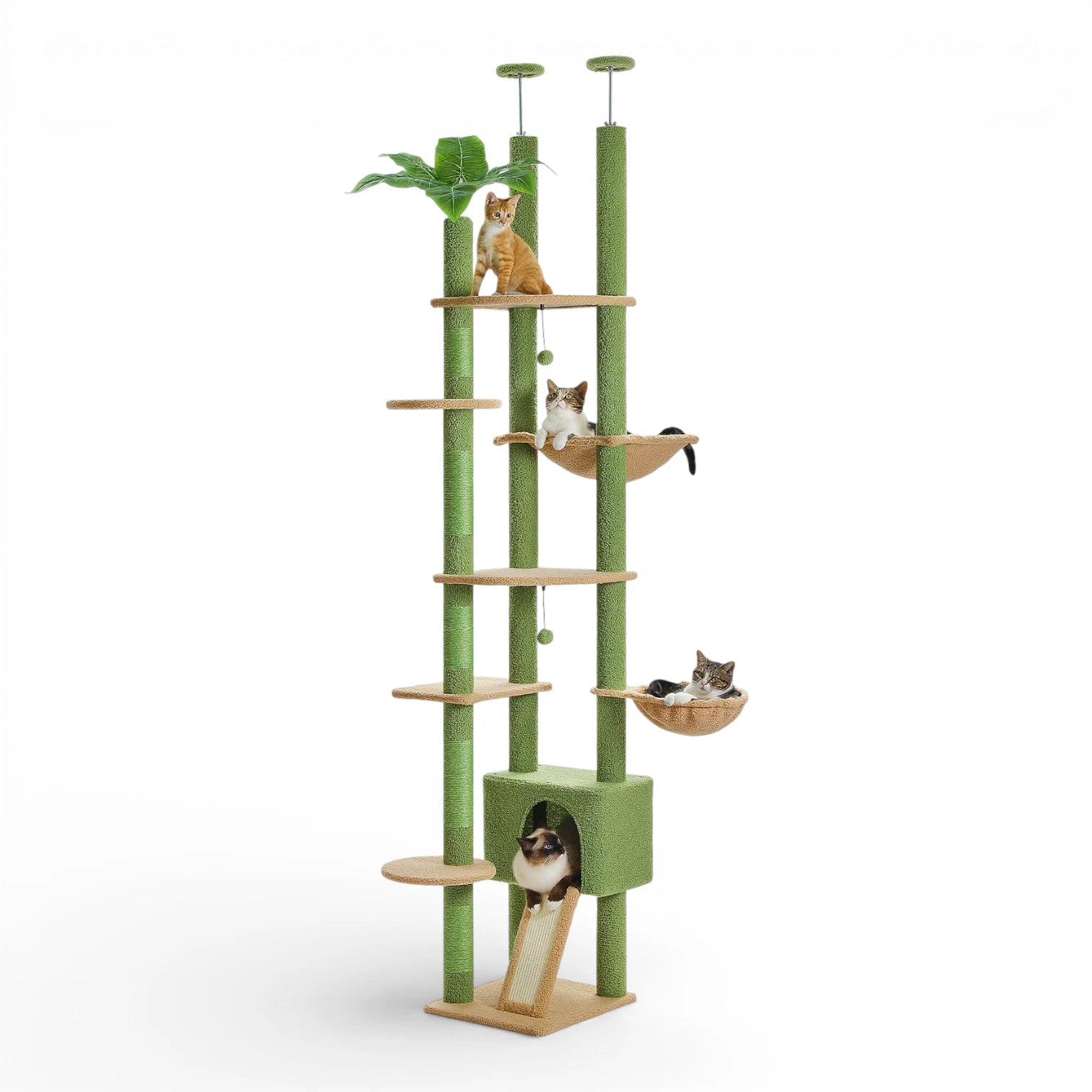Arbre a chat du sol au plafond - Hamac et Griffoir Inclus