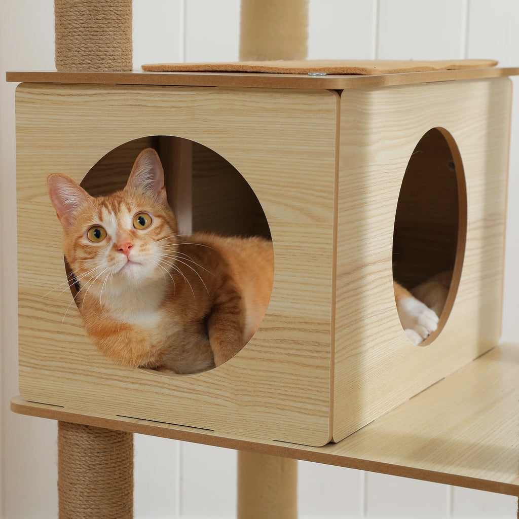 Arbre à chat en bois - Tour avec Griffoirs