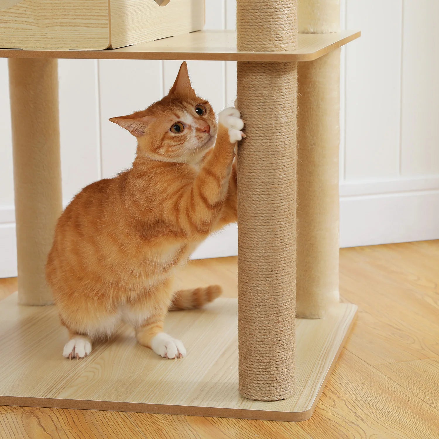 Arbre à chat en bois - Tour avec Griffoirs