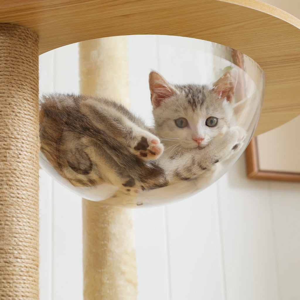 Arbre à chat en bois - Tour avec Griffoirs