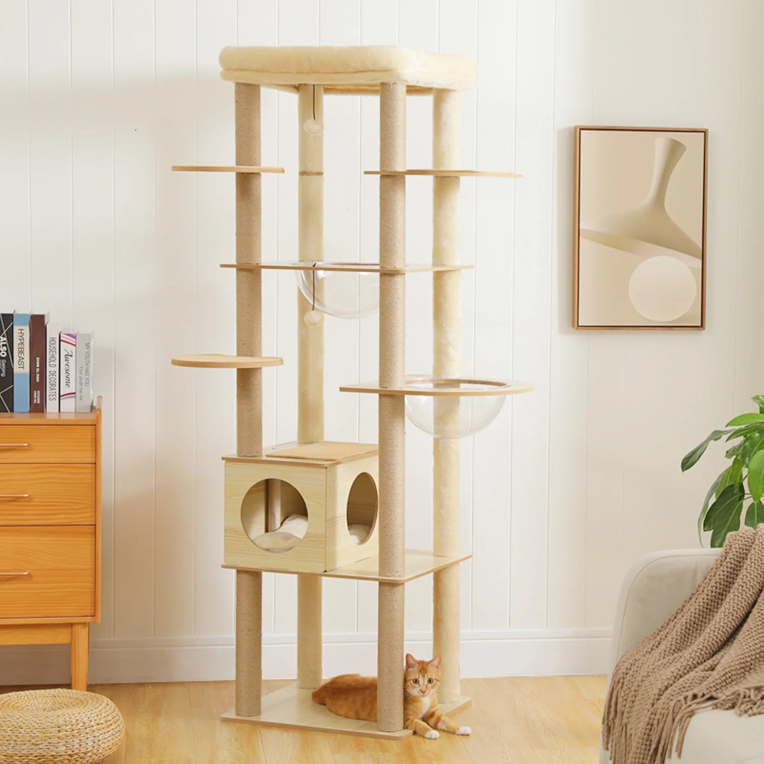 Arbre à chat en bois - Tour avec Griffoirs