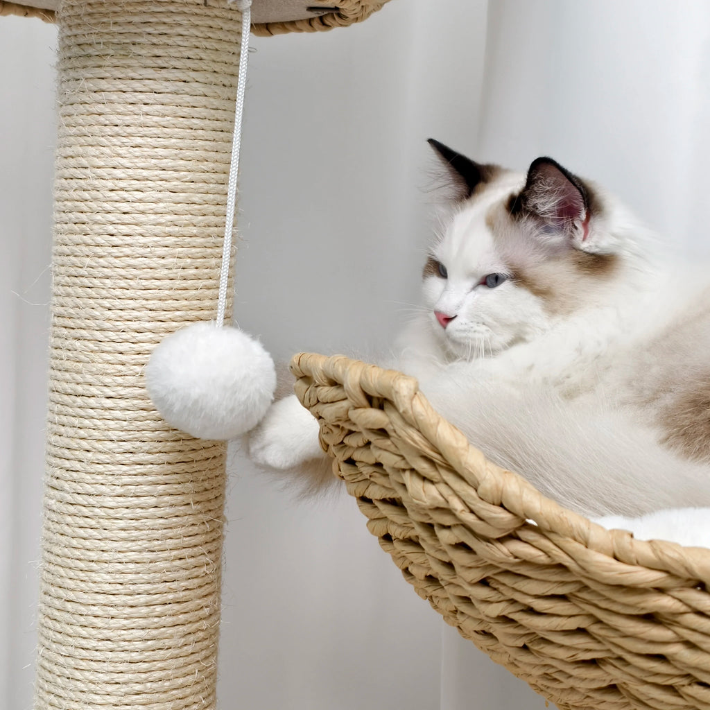 Arbre a chat en osier - Griffoir Sisal et Coussins Peluche