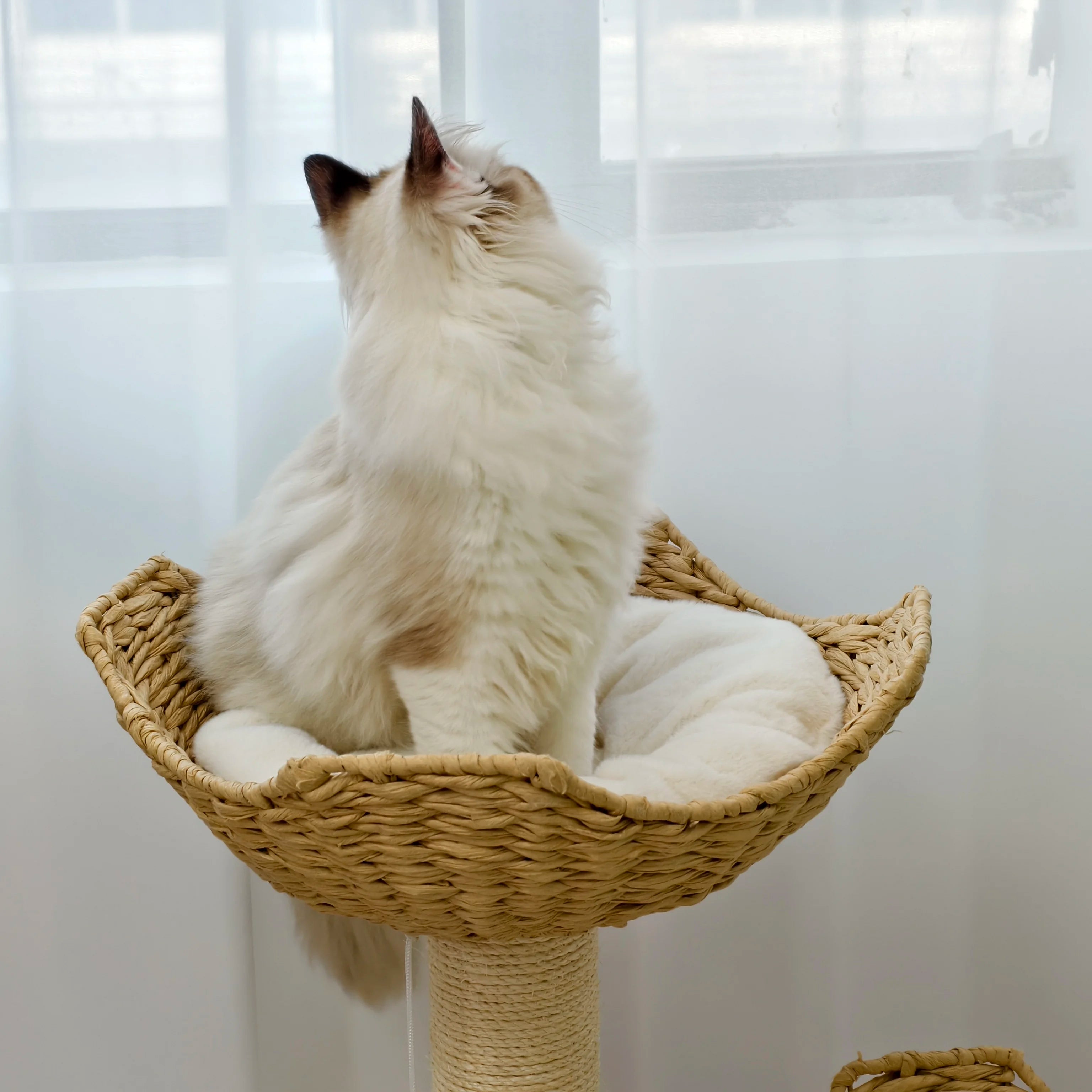 Arbre a chat en osier - Griffoir Sisal et Coussins Peluche