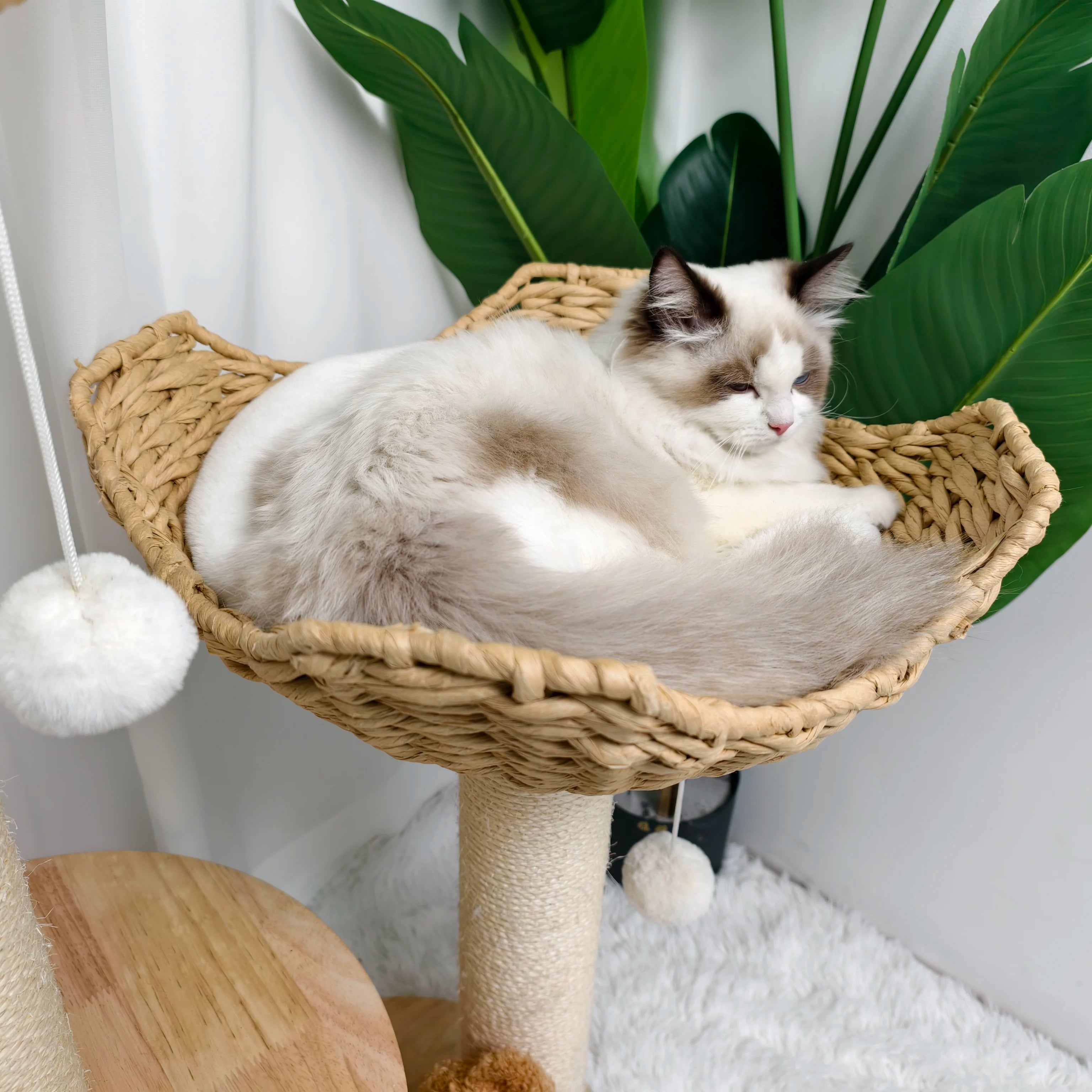 Arbre a chat en osier - Griffoir Sisal et Coussins Peluche