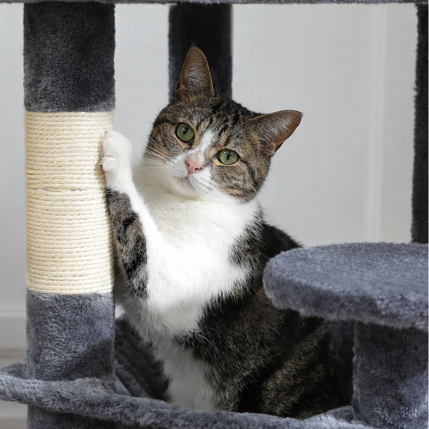 Arbre a chat grand plateau - Sisal, Hamac et Condo Spacieux