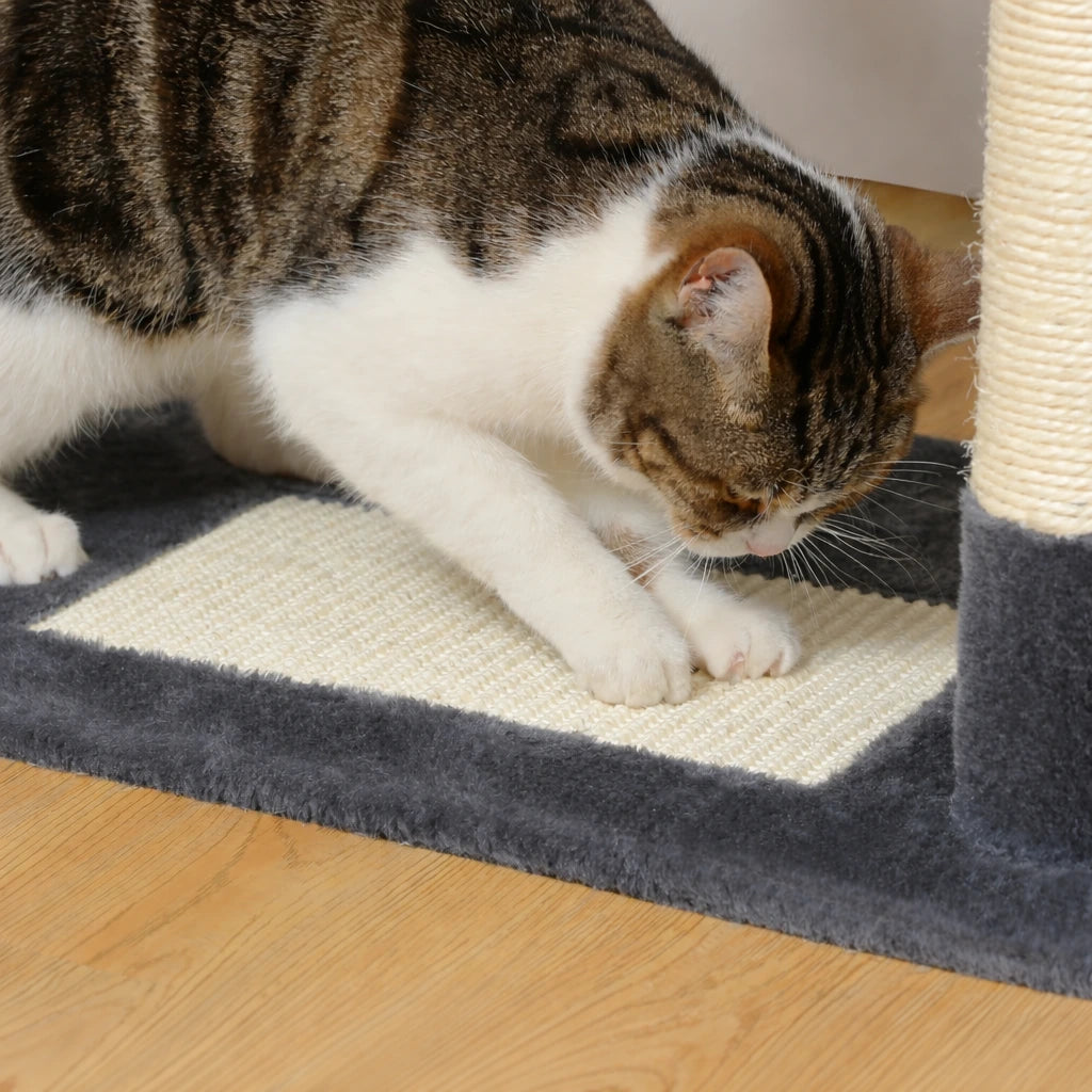 Arbre a chat grand plateau - Sisal, Hamac et Condo Spacieux