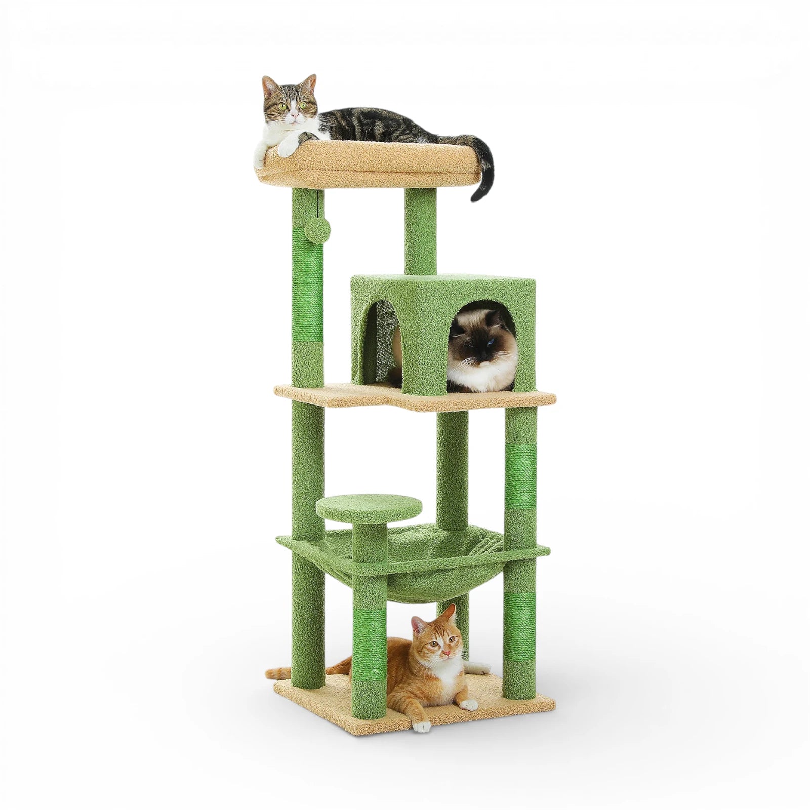 Arbre à chat griffoir - Confort et stabilité premium