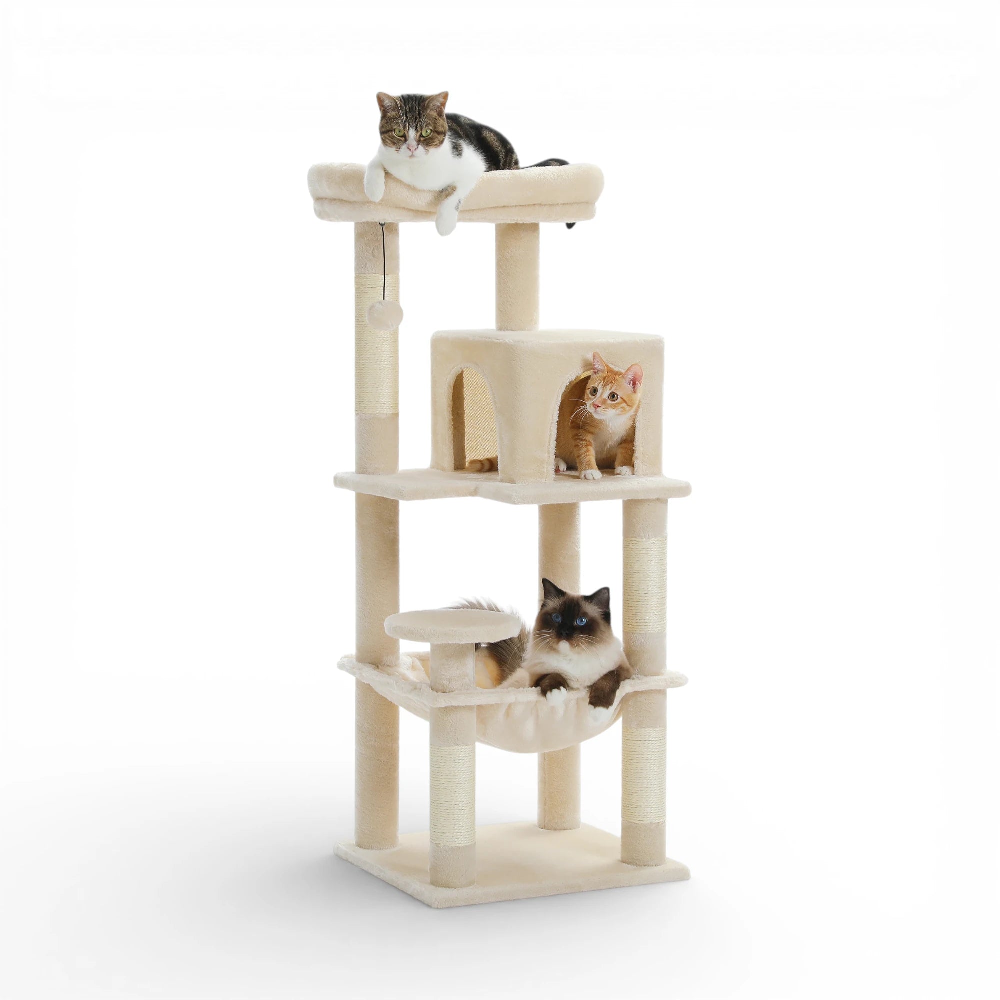 Arbre à chat griffoir - Confort et stabilité premium