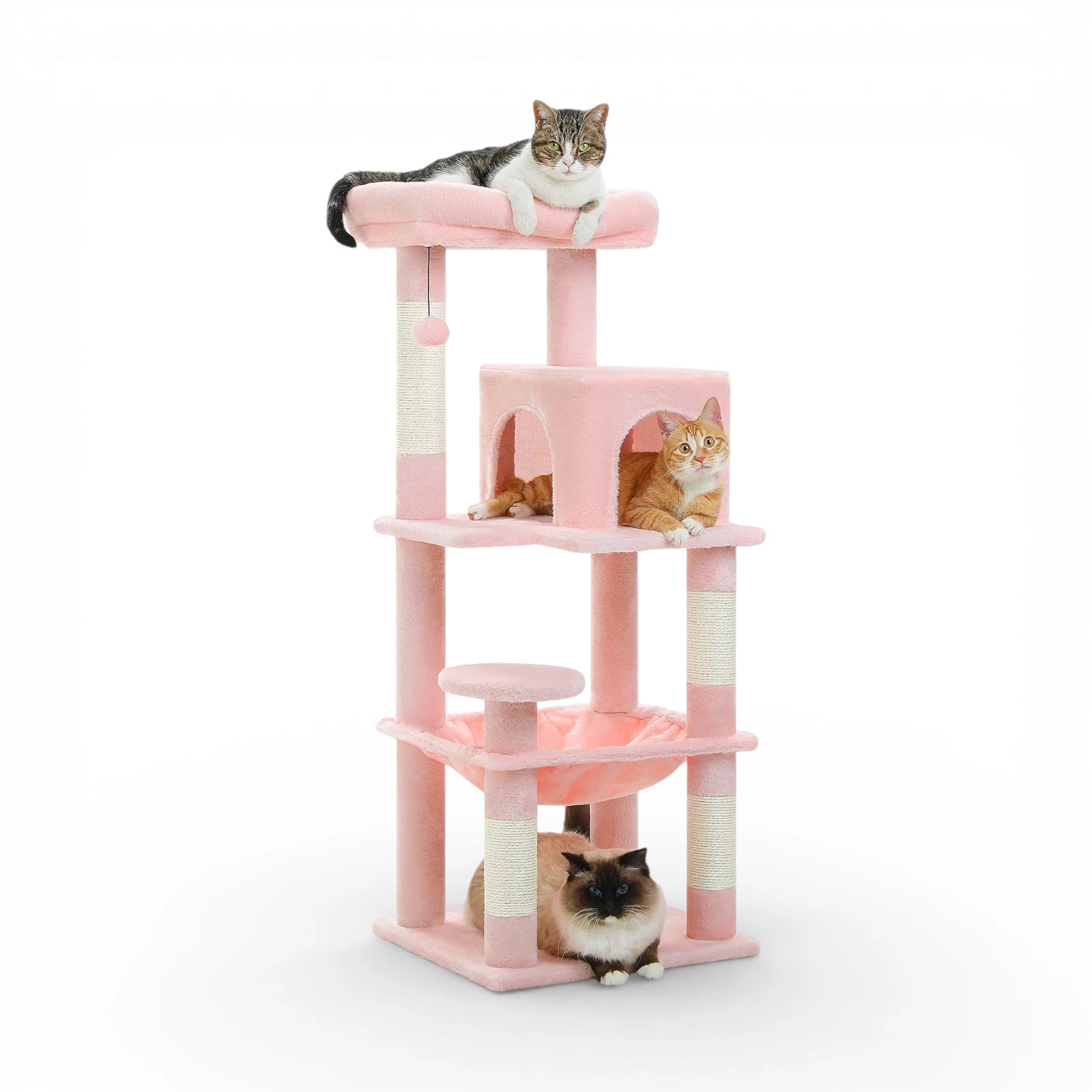 Arbre à chat griffoir - Confort et stabilité premium