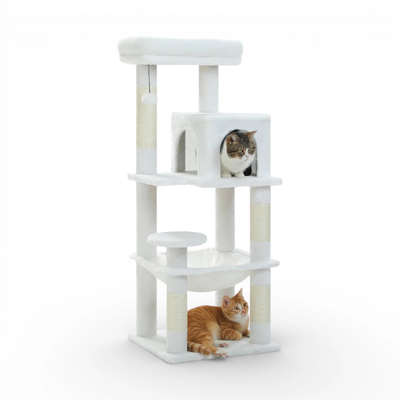 Arbre à chat griffoir - Confort et stabilité premium