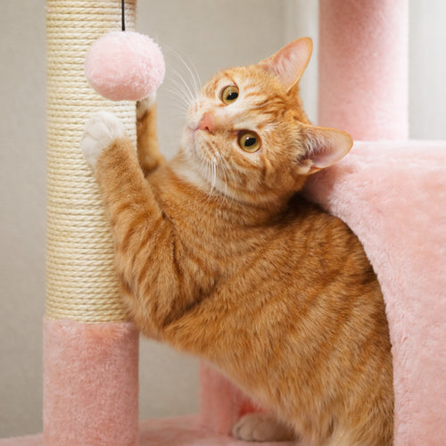 Arbre à chat griffoir - Confort et stabilité premium