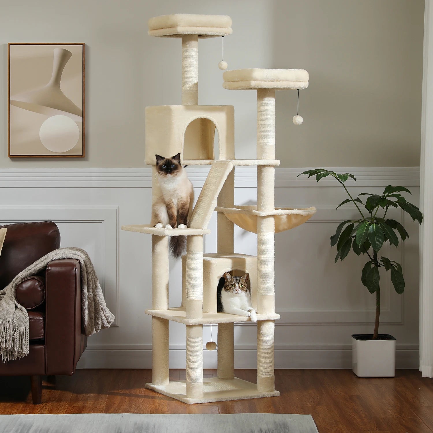 Arbre à Chat Moderne 7 Niveaux - Multi-Chats Stable