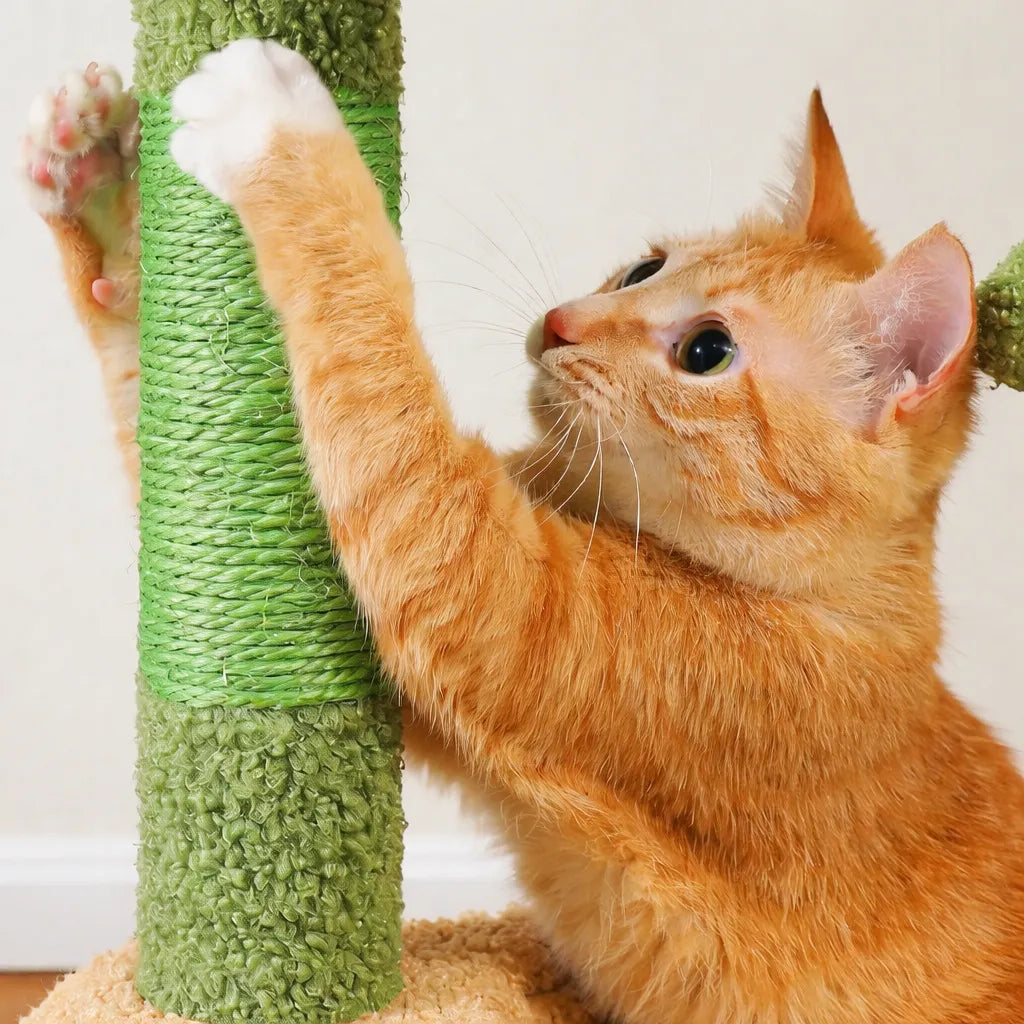 Arbre à chat petit espace - Hamac, condo et griffoir inclus