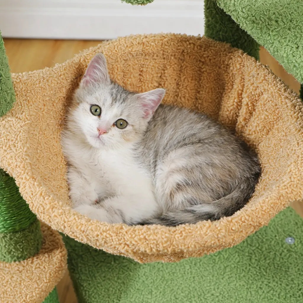 Arbre à chat petit espace - Hamac, condo et griffoir inclus