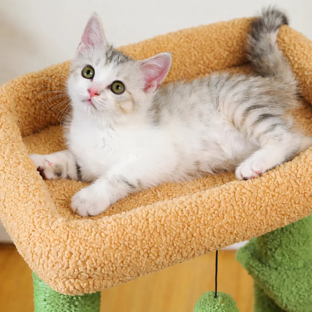 Arbre à chat petit espace - Hamac, condo et griffoir inclus