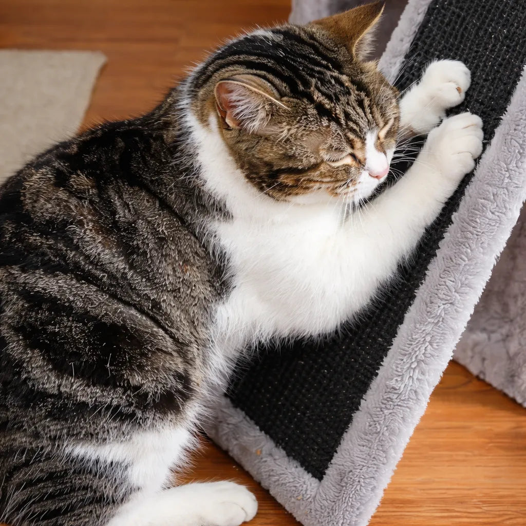 Arbre a chat petit modèle - Double grotte et sisal intégral