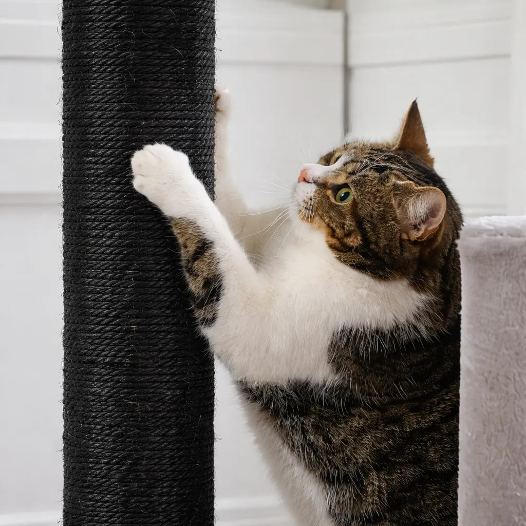 Arbre a chat petit modèle - Double grotte et sisal intégral