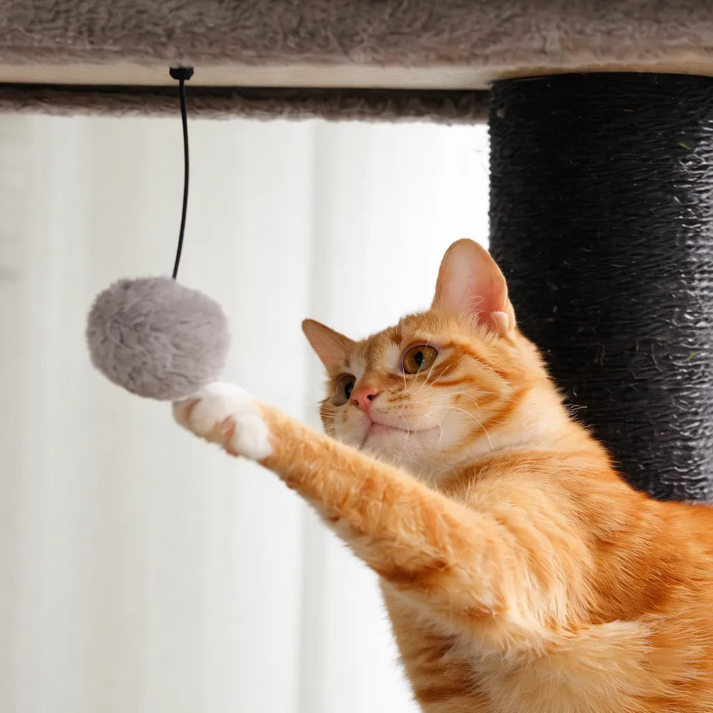 Arbre a chat petit modèle - Double grotte et sisal intégral