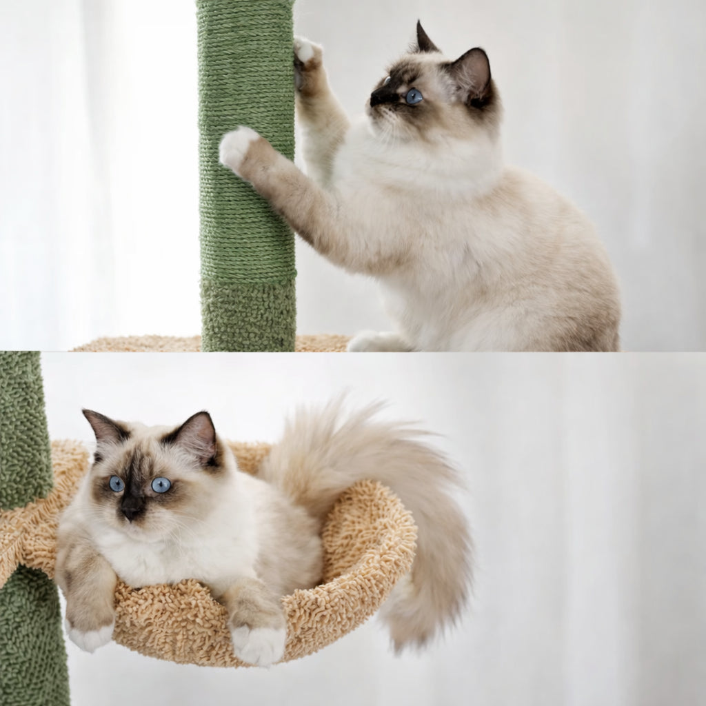 Arbre à Chat Sol Plafond 5 Niveaux - Sisal et Hamac Inclus