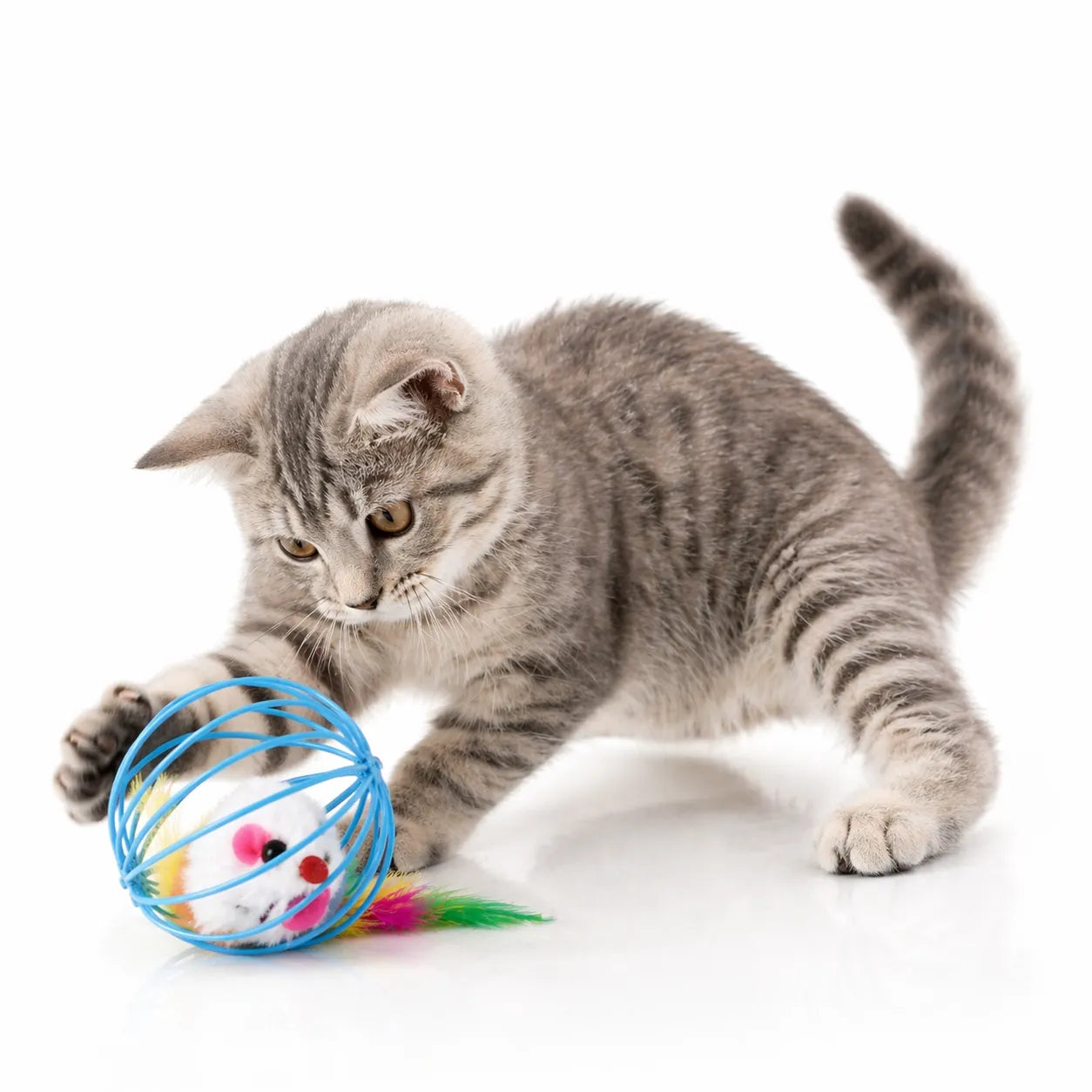 Balle chat interactive à cage - Jouet souris pour félin actif