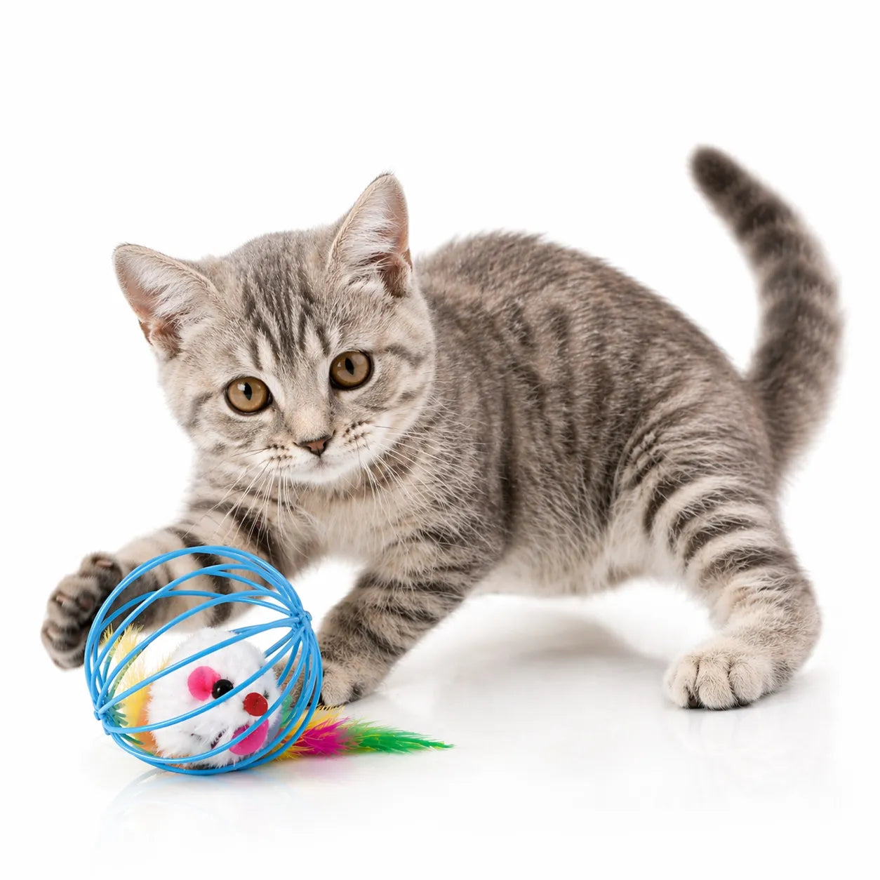 Balle chat interactive à cage - Jouet souris pour félin actif