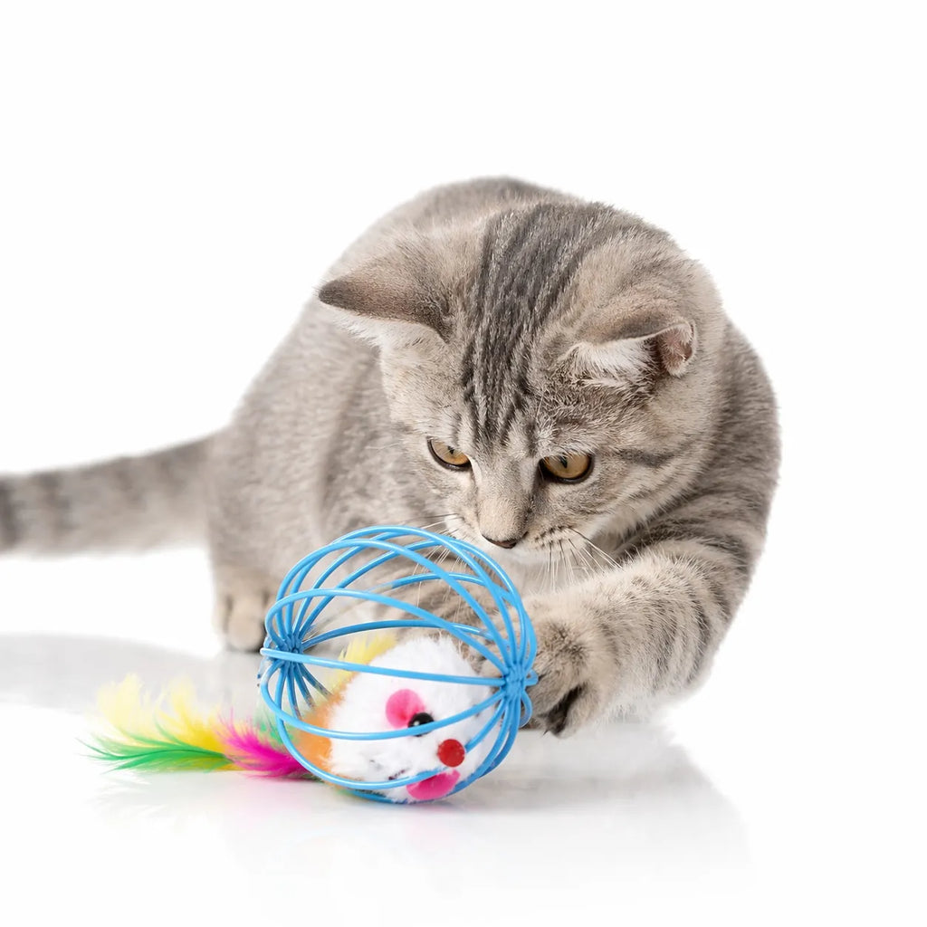 Balle chat interactive à cage - Jouet souris pour félin actif