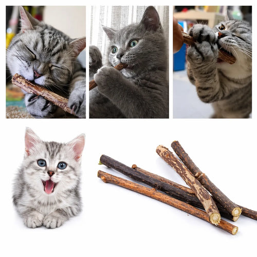Bâtonnet pour chat naturel Matatabi - Soin dentaire 20 pièces
