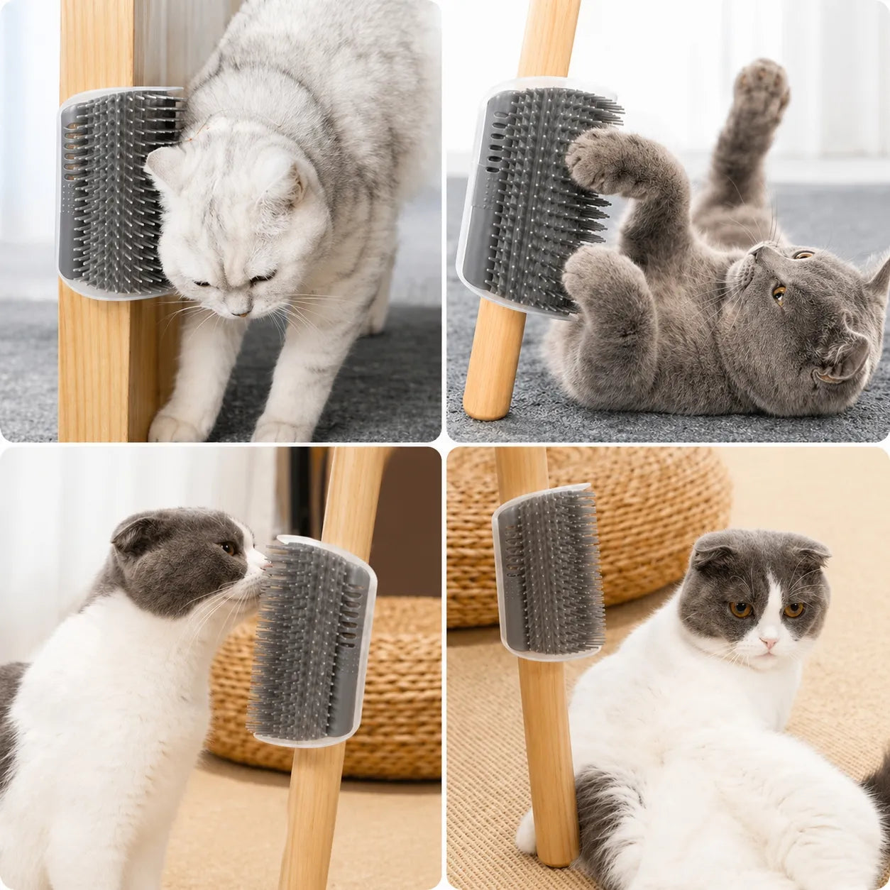 Brosse chat murale - Grattoir massage fixation angle mur
