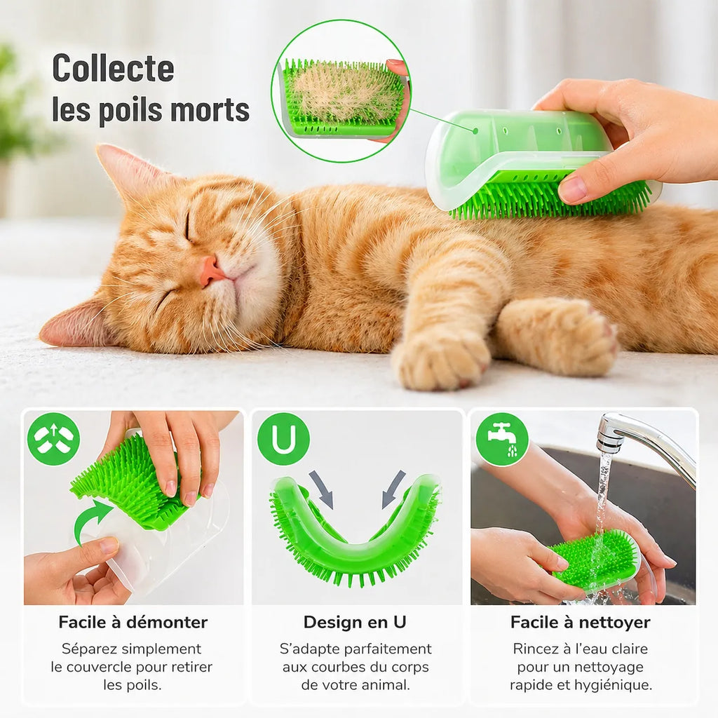 Brosse chat murale - Grattoir massage fixation angle mur