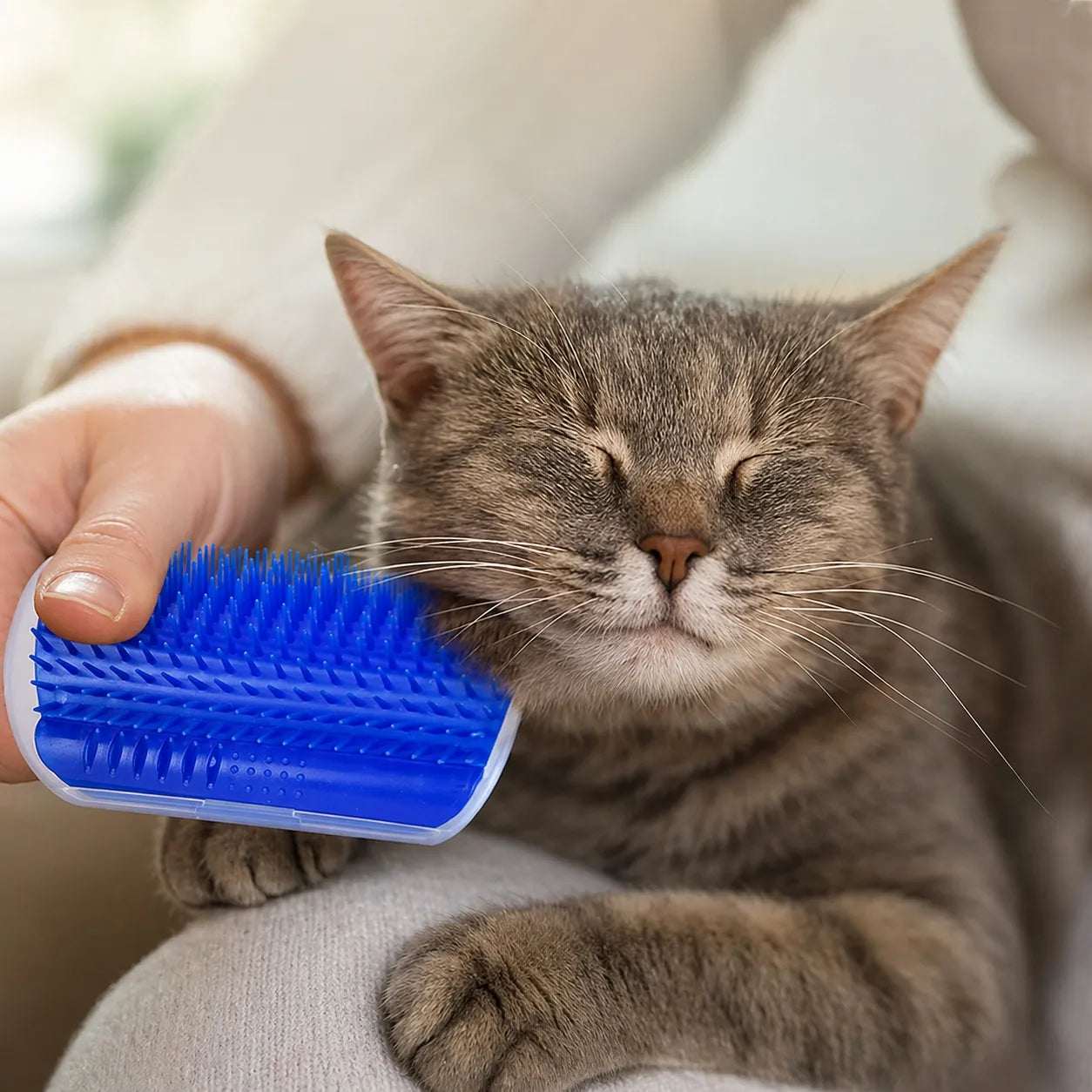 Brosse chat murale - Grattoir massage fixation angle mur