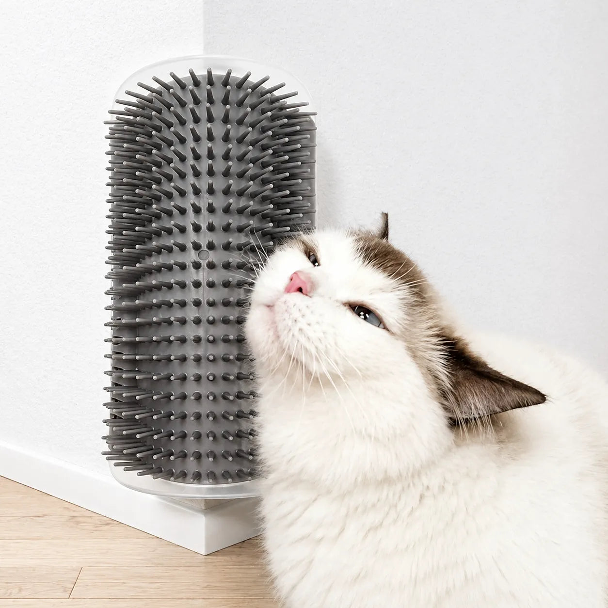 Brosse chat murale - Grattoir massage fixation angle mur
